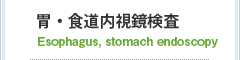胃・食道内視鏡検査