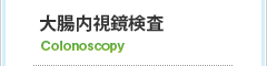 大腸内視鏡検査