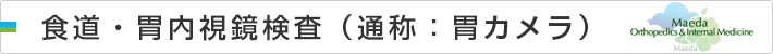 食道・胃内視鏡検査(通称:胃カメラ)